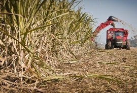Mais duas usinas iniciam a moagem em Alagoas