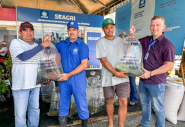 Governo de Alagoas distribui 1 milhão de alevinos e fortalece a piscicultura no estado