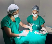 Hospital Regional de Palmeira dos Índios amplia serviços com odontologia