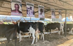 Exposição está atraindo público de todo o estado de Alagoas.