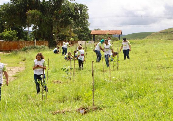 Servidores da CGE fazem plantio de 140 árvores no lançamento do Projeto Semear