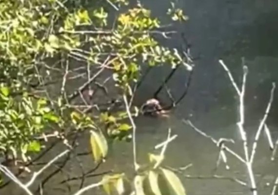 Corpo decapitado é localizado em rio na Barra de Santo Antônio