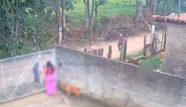 VÍDEO: Bebê de 11 meses morre após ataque de pitbull em Socorro (SP)