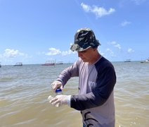 Balneabilidade: 88% dos pontos monitorados em Alagoas estão próprios para banho