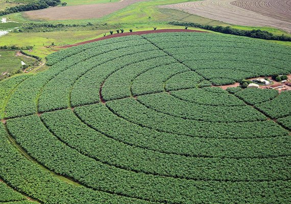 IBGE prevê safra recorde de 264,9 milhões de toneladas de cereais