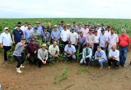 AL: IBGE prevê aumento de 10,6% na safra de cereais, leguminosas e oleaginosas