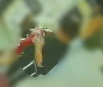 VÍDEO: Mulher é presa em flagrante após furtar óculos de R$ 3 mil no Aeroporto de AL