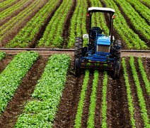 Crédito rural empresarial atinge R$ 404 bilhões no Plano Safra 2025/2026