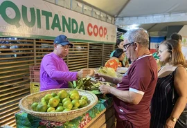 Feira da Agricultura Familiar e da Economia Solidária destaca diversidade produtiva e inovações no setor