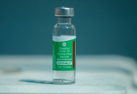 Primeiro lote do IFA para vacina da Fiocruz chega hoje ao Brasil