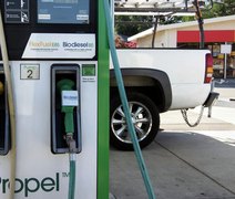 Petrobras investe US$ 1,2 bilhão em fábrica de bioquerosene e diesel renovável