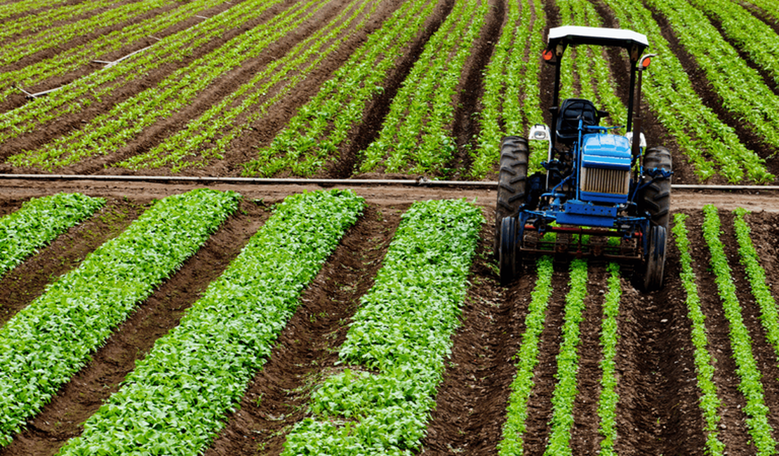 Crédito rural empresarial atinge R$ 404 bilhões no Plano Safra 2025/2026