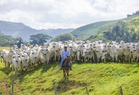 Desemprego: Apenas o setor agropecuário gerou vagas