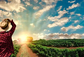 Mãos que transformam o campo e que alimenta o Brasil e o mundo