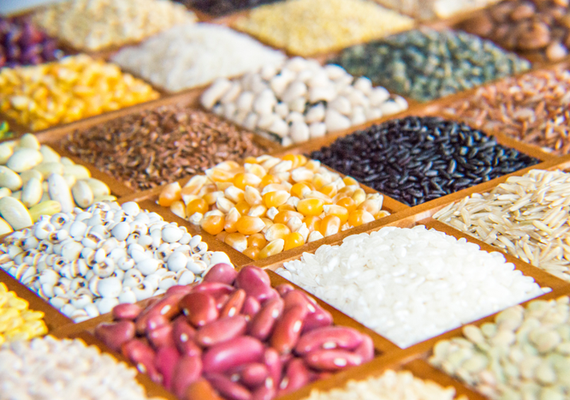 Valor Bruto da produção agropecuária alcança R$ 1,2 trilhão em agosto