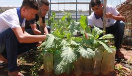Governo de Alagoas institui lei da escola sustentável na rede estadual