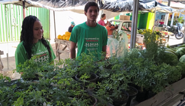 Jovens da Cooperativa Pindorama apresentam produção agrícola e destacam impacto de formação rural