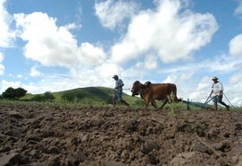 Seguro protege agricultores contra dados da seca