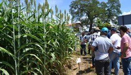 Senar promove dia de campo em URT de Batalha