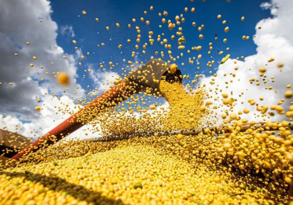 Cooperativa agro recebe R$ 7 milhões em bônus referentes ao crédito de carbono