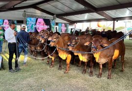 76ª Expoagro-AL começa nesta quinta-feira com expectativa de R$ 50 milhões em negócios