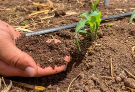 Alagoas foi primeiro estado do Nordeste a lançar Plano de Agricultura de Baixo Carbono