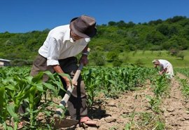 Produtores pedem nova legislação para renegociação de dívidas rurais