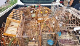 Operação em interior de AL apreende mais 350 aves e aplica R$ 134,5 mil em multas