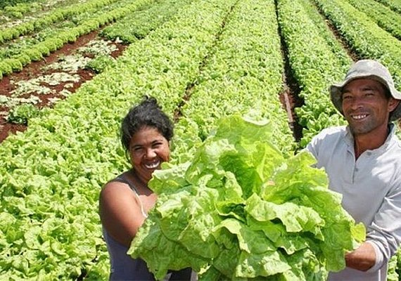 Mapa atualiza condições para inscrição no Cadastro Nacional da Agricultura Familiar