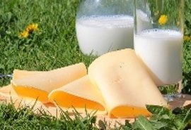 Preços dos produtos derivados do leite estão em alta desde o mês de maio