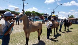 Copa de Marcha Terra dos Marechais abre programação técnica da Expoagro-AL 2025