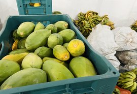 Em menos de 10 dias, 115 toneladas de alimentos foram doadas pelo PAA em Alagoas