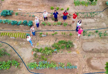 Hortas Urbanas unem a alimentação saudável ao combate à fome em Alagoas