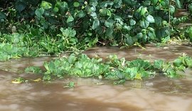Corpo de pescador é encontrado boiando na Lagoa Mundaú
