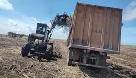 Menor em 5 anos, ATR de janeiro cai 6,7% e agrava crise da cana em AL