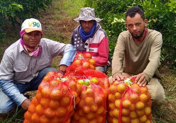 Projeto Lagos do São Francisco leva capacitação a agricultores