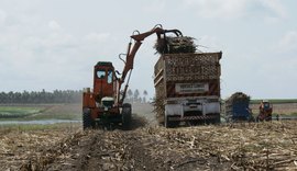 Moagem avança na safra 22/23 e ultrapassa 17 mi de toneladas de cana processadas