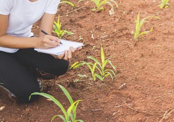 Pindorama será uma das unidades do programa AgroResidência