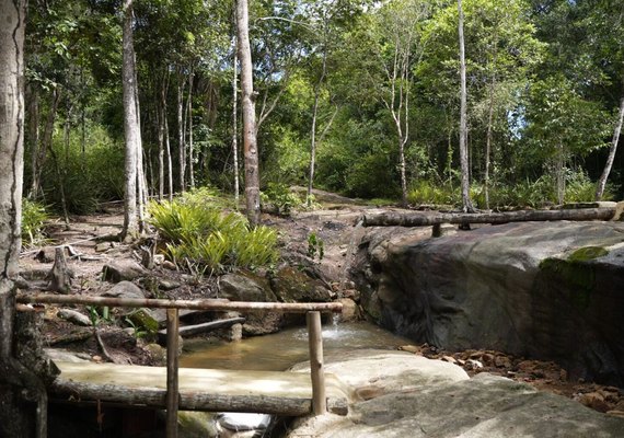 Flexeiras: Um destino encantador para o turismo rural em Alagoas