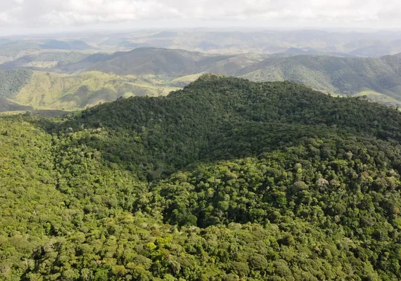 Alagoas reduz desmatamento em 68,4% em 2025