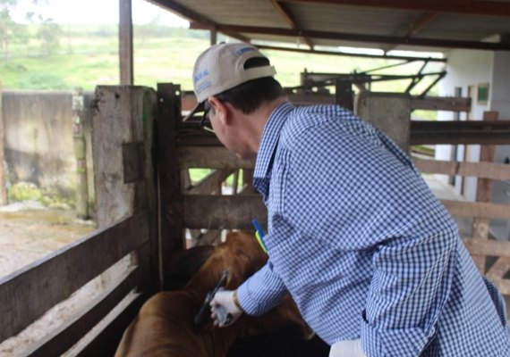 Adeal alerta sobre importância da vacinação dos animais