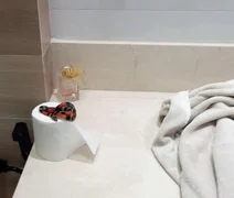 Morador se assusta ao encontrar cobra coral no próprio banheiro