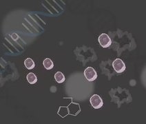 Cientistas criam célula CAR-T 'turbinada' com nanogel para superar barreira de tumores cancerígenos sólidos