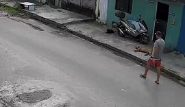 Polícia investiga suspeita de envenenamento de cães no Tabuleiro em Maceió