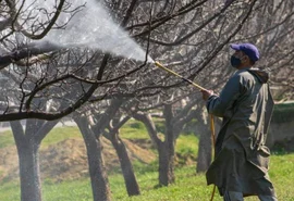 STF derruba regras que reduziam controle de qualidade de agrotóxicos