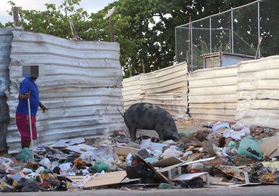 ''Prefeito não tem coragem de mandar limpar’’: moradores da periferia reclamam do acúmulo de lixo