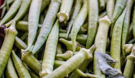 Garantia-Safra: confira a lista de beneficiários que recebem em abril