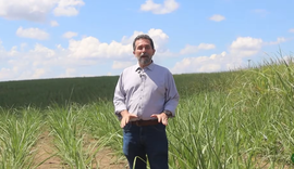 Alagoas Rural: Vídeo sobre cana sem irrigação viraliza e alcança 24 mil views