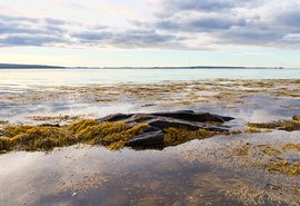 Biossoluções: alternativas sustentáveis para agricultores enfrentarem com sucesso mudanças climáticas