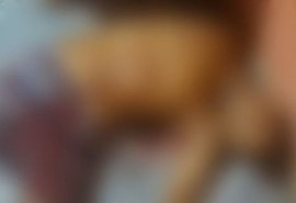 Homem é morto a facadas dentro de casa após bebedeira, em Marechal Deodoro
